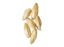 Picture of Malt - Rahr 2-Row - 5 lb