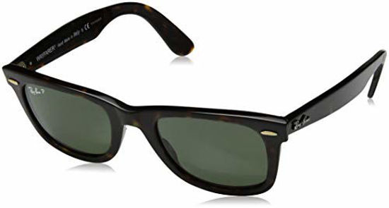 Original wayfarer 2025 tortoise