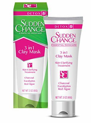 Picture of Sudden Change 3 In 1 Clay Mask, 3 Ounce