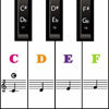 Picture of Piano Keyboard Stickers for 88/61/ 54/49 Key,Colorful Transparent Removable for kids Beginners (Mix Color)