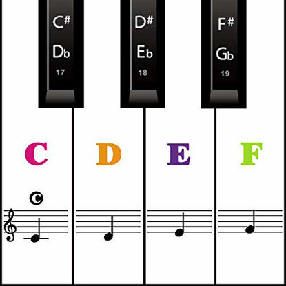 Picture of Piano Keyboard Stickers for 88/61/ 54/49 Key,Colorful Transparent Removable for kids Beginners (Mix Color)