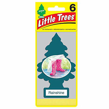Picture of Little Trees Car Air Freshener 6-Pack (Rainshine)