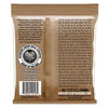 Picture of Ernie Ball Earthwood 12 Phosphor Bronze Light (9-46) Acoustic Guitar Strings (P02153)