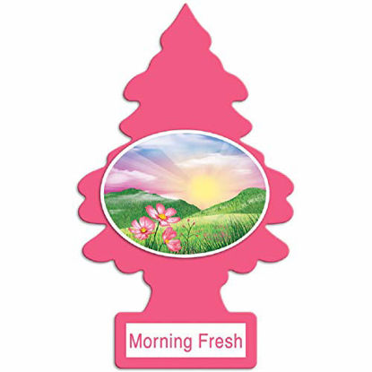 Picture of LITTLE TREES Car Air Freshener I Hanging Tree Provides Long Lasting Scent for Auto or Home I Morning Fresh, 24 count, (4) 6-packs