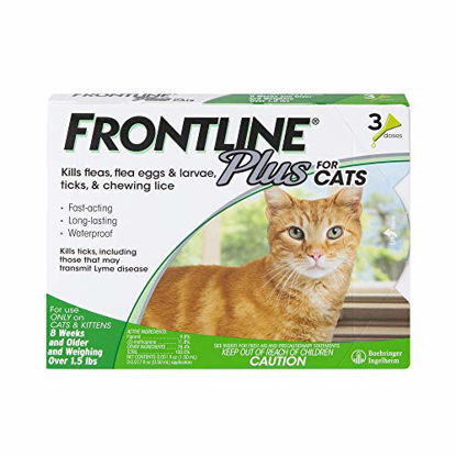Picture of Frontline Plus Flea and Tick Treatment for Cats