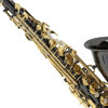 Picture of Mendini by Cecilio E-Flat Alto Saxophone, Black Nickel Plated with Gold Keys + Tuner, Case, Pocketbook - MAS-BNG+92D+PB