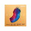 Picture of D'Addario Violin Strings (A311 1/16M)