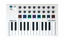 Picture of Arturia MiniLab MkII 25 Slim-Key Controller