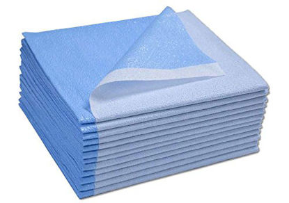 Picture of Avalon Papers 356 Stretcher Sheet, Tissue/Poly, 40'' x 60'', Blue (Pack of 100)