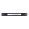 Picture of APC Netbotz, NBRK0250, Basic Rack Security and Environmental Rack Monitor 250