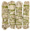 Picture of Alternative Imagination Premium California White Sage 4 Inch Smudge Sticks Brand. (4 Pack)