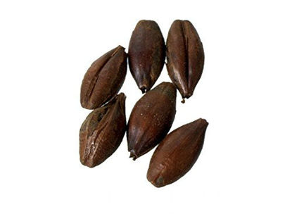 Picture of Malt - Chocolate - 5 lb