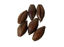 Picture of Malt - Chocolate - 5 lb