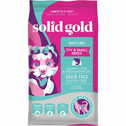 Picture of Solid Gold - Mighty Mini with Cold Water Salmon, Lentil & Green Bean Recipe - Grain Free & Gluten-Free - Holistic Weight Control Adult Dry Dog Food for Toy & Small Breeds - 11lb Bag