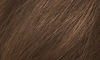 Picture of Naturtint Permanent Hair Color 6G Dark Golden Blonde (Pack of 1), Ammonia Free, Vegan, Cruelty Free, up to 100% Gray Coverage, Long Lasting Results
