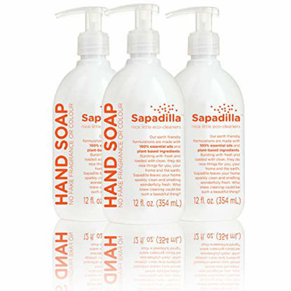 Picture of Sapadilla Grapefruit + Bergamot Biodegradable Liquid Hand Soap Pump, 12 Ounce, (Pack of 3)