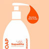 Picture of Sapadilla Grapefruit + Bergamot Biodegradable Liquid Hand Soap Pump, 12 Ounce, (Pack of 3)