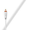 Picture of AudioQuest Greyhound Subwoofer RCA Cable - 8m