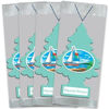 Picture of LITTLE TREES Car Air Freshener | Hanging Paper Tree for Home or Car | Bayside Breeze | 12 Pack