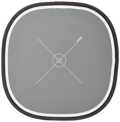 Picture of Lastolite LL LR2050 20-Inch Ezybalance Card (Grey/White)