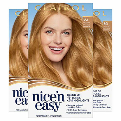Picture of Clairol Nice'n Easy Permanent Hair Color, 8G Medium Golden Blonde, Pack of 3
