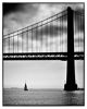 Picture of MCS Format Frame, 11 x 14 in, Black