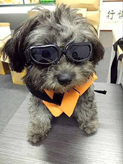 Picture of Enjoying Dog Goggles - Small Dog Sunglasses Waterproof Windproof UV Protection for Doggy Puppy Cat - Black