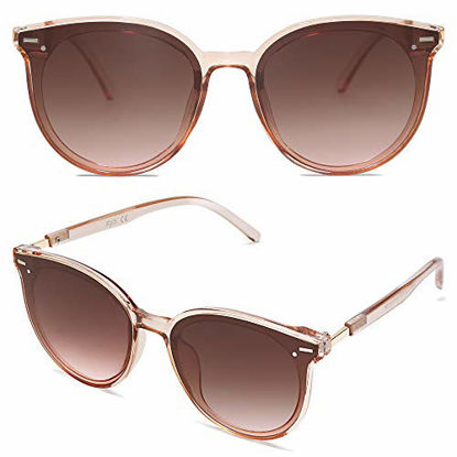 Picture of SOJOS Classic Round Retro Plastic Frame Vintage Large Sunglasses BLOSSOM SJ2067 with Crystal Brown Frame/Brown Lens