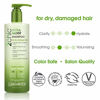 Picture of GIOVANNI 2chic Ultra-Moist Shampoo, 24 oz. Avocado & Olive Oil, Hydration Formula, Enriched with Aloe Vera, Shea Butter, Botanical Extracts & Oils, Sulfate Free, No Parabens, Color Safe (Pack of 1)
