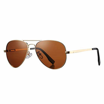 Picture of Polarized Aviator Sunglasses for Men Women with Spring Hinge Legs, UV400 Protection (Gold Frame/Brown Lens)