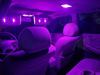 Picture of BRISHINE 194 LED Bulbs Extremely Bright Purple 5630 Chipsets 168 2825 175 T19 W5W LED Replacement Bulbs for Car Interior Dome Map Door Courtesy Trunk License Plate Lights(Pack of 10)