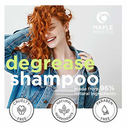 Picture of Sulfate Free Shampoo for Oily Hair - Natural Clarifying Shampoo for Build Up and Oily Scalp Cleanser - Deep Cleansing Shampoo for Greasy Hair and Scalp Care Sulfate Paraben and Cruelty Free 16oz