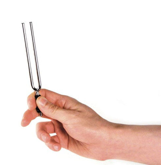 GetUSCart- D'Addario Tuning Fork, Key of A