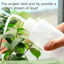 Picture of Valchoose 250ml 500ml Plastic Wash Bottle Medical Squeeze Bottle, LDPE - 2PACK