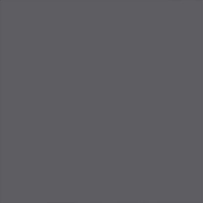 Picture of Rust-Oleum 1986502 Painter's Touch Latex Paint, Quart, Gloss Dark Gray