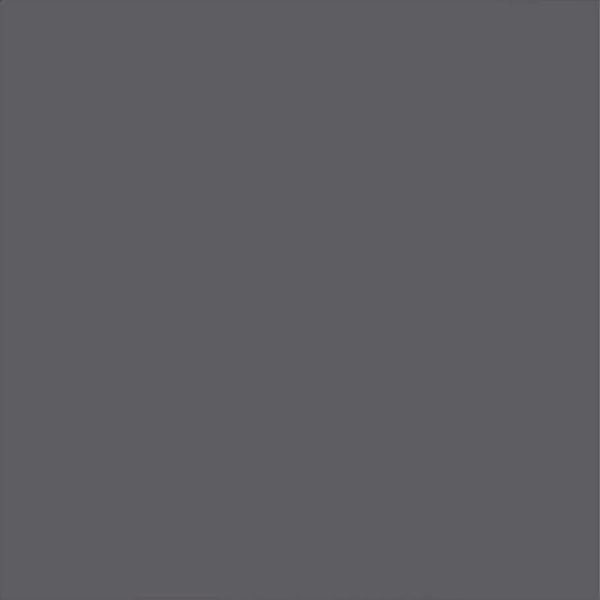 Picture of Rust-Oleum 1986502 Painter's Touch Latex Paint, Quart, Gloss Dark Gray
