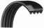 Picture of ban.do 6PK1550A OEM Serpentine Belt