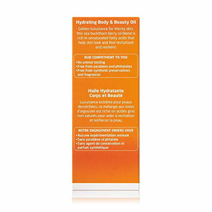 Picture of Weleda Sea Buckthorn Hydrating Body and Beauty Oil, 3.4 Fl Oz