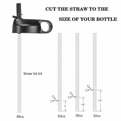 Picture of The Mass Wide Mouth Straw Lid Compatibility Most Sports Water Bottle (White & Cobalt)