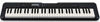 Picture of Casio CT-S300 61-Key Premium Keyboard Pack with Stand, Headphones & Power Supply (CAS CTS300 PPK)