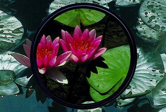 Picture of Heliopan 77mm Slim Circular Polarizer SH-PMC Filter (707740) with specialty Schott glass in floating brass ring,Black