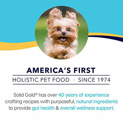 Picture of Solid Gold - Mighty Mini Small & Toy Breed Dry Dog Food - Grain-Free with Real Lamb