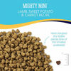 Picture of Solid Gold - Mighty Mini Small & Toy Breed Dry Dog Food - Grain-Free with Real Lamb