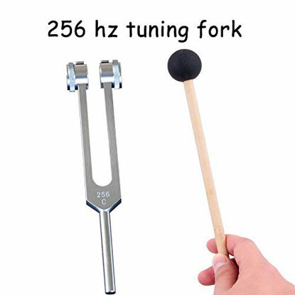Picture of QIYUN 256 Hz Tuning Fork, 256 Cps Tuning Forks with Fixed Weights, Clinical Grade Nerve/Sensory with Silicone Hammer & Cleaning Cloth