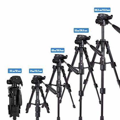 Picture of Mini Tripod for Camera,Zomei Travel Table Tripod with 3-Way Pan/Tilt Head 1/4 inches Quick Release Plate and Bag for DSLR Camera Tripod Carrying Bag