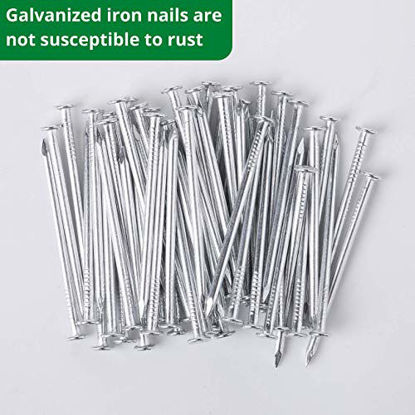 Picture of Mr. Pen- Nail Assortment Kit, 600pc, Small Nails, Nails, Nails for Hanging Pictures, Picture Hanging Nails, Finishing Nails, Hanging Nails, Picture Nails, Wall Nails for Hanging, Pin Nails