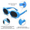 Picture of FEISEDY Candy Retro Acetate Blue Frame Clout Goggles Kurt Cobain Sunglasses B2253