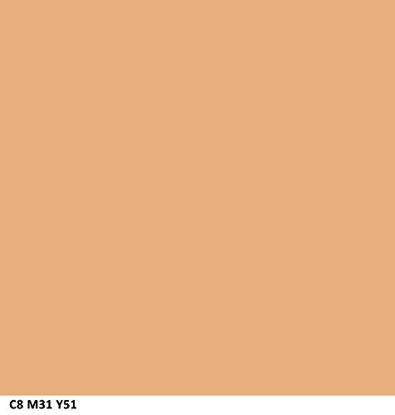 Picture of COVERGIRL Outlast All-Day Stay Fabulous 3-in-1 Foundation Soft Honey, 1 oz (packaging may vary)