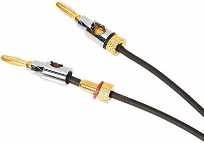 Picture of AmazonBasics Speaker Cable Wire with Gold-Plated Banana Tip Plugs - CL2 - 99.9% Oxygen Free - 3-Foot
