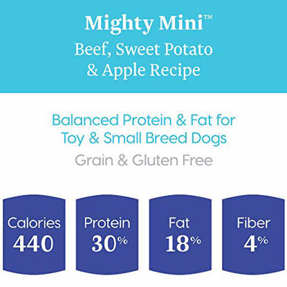 Picture of Solid Gold - Mighty Mini Beef with Sensitive Stomach Probiotic Support - Grain-Free Holistic Dry Dog Food for Toy & Small Breed of All Life Stages - 4 lb